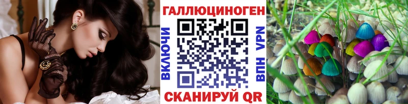 Псилоцибиновые грибы Psilocybe  купить наркоту  Старый Крым 